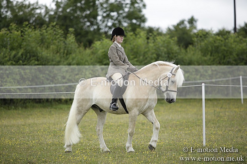 BVR160717-1500 - Ring 1 BVRC Show 16/07/17