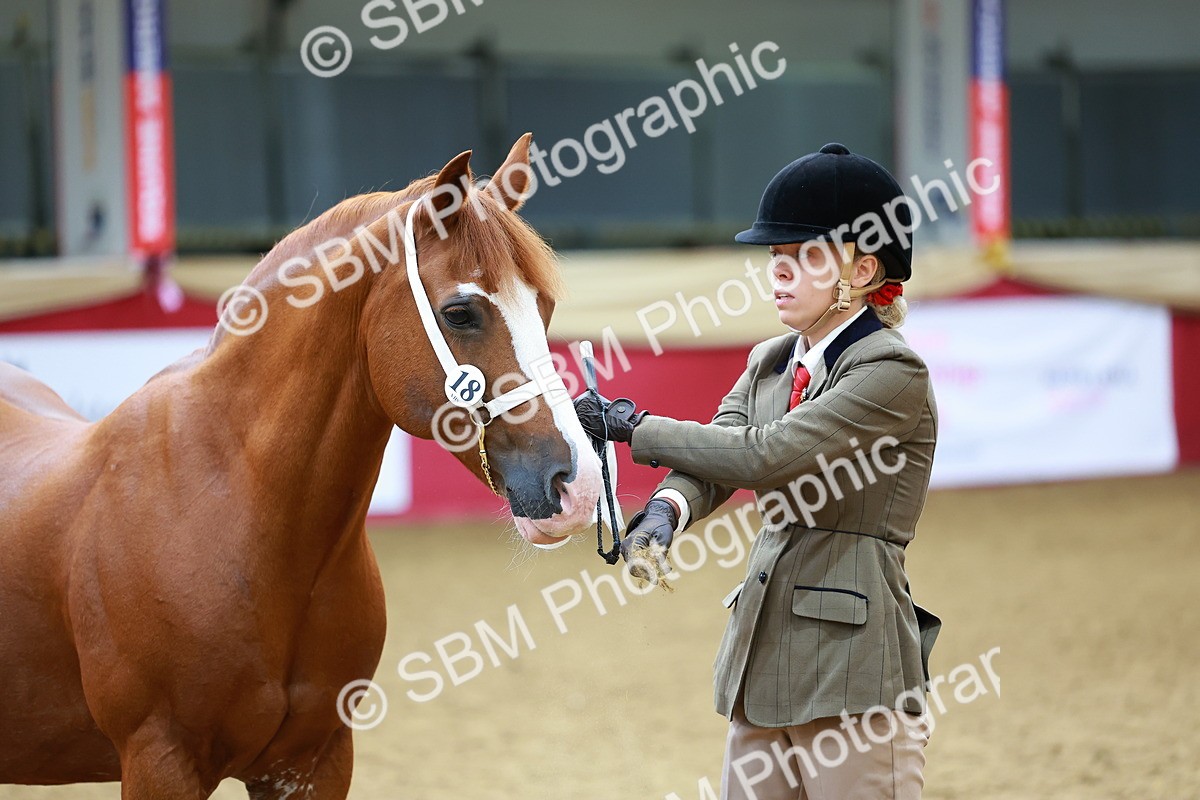SBM_00569 - Class 3A - IH Pre-Vet