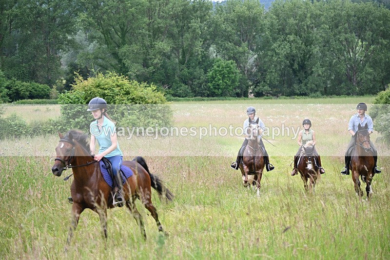 WJ6_8445 - Camera 1 Gallops