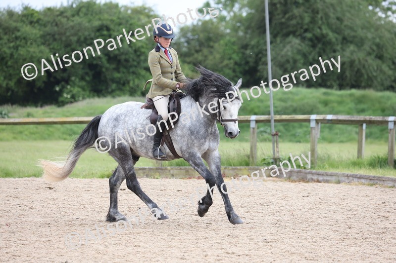 20250524-1383 - Class 16 - Hunter and Cob
