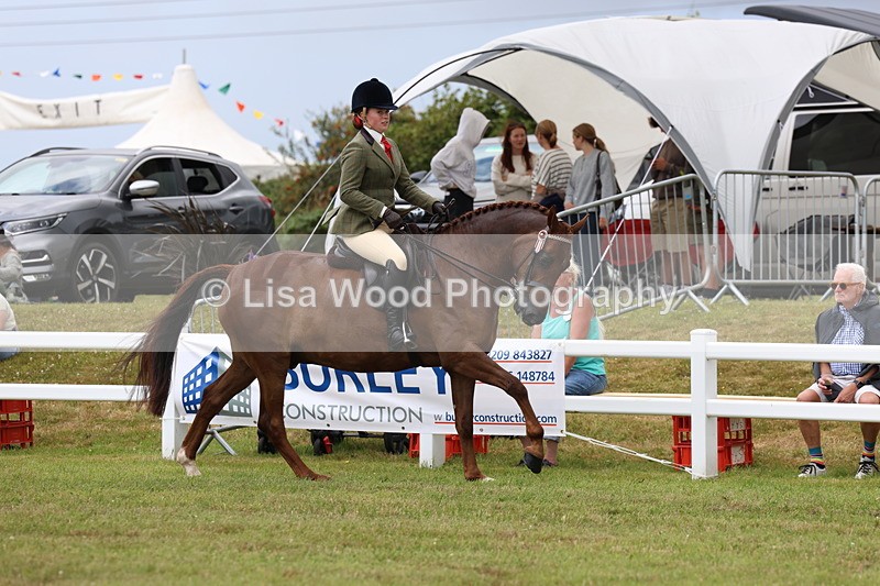 3E7A0896 - Class 8: Open Riding Horse/Hack