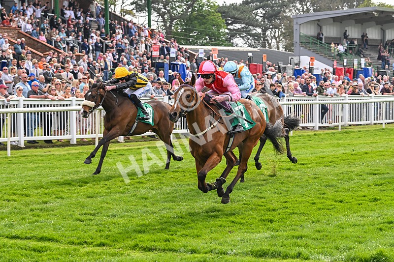 120425-Race 1-Polly Darling-0791 - Race 1