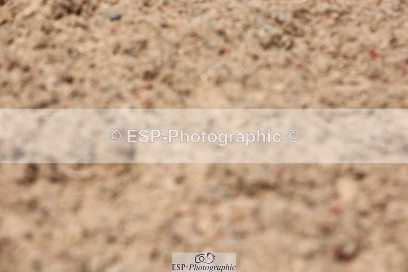 240621A-123717-00801 - Cls 12 BD Music Medium