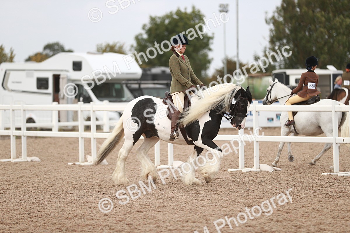 SBM_16642 - Class 214 Ridden Cob