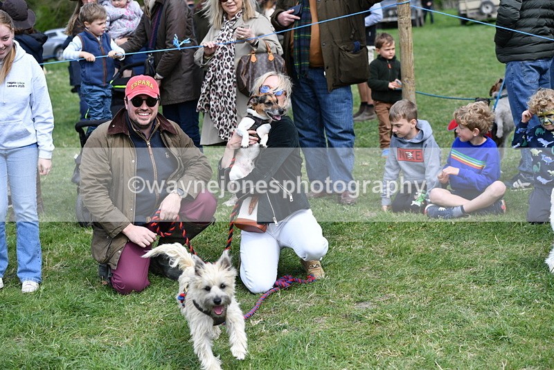 WJ5_0542 - Class 7 Best Terrier