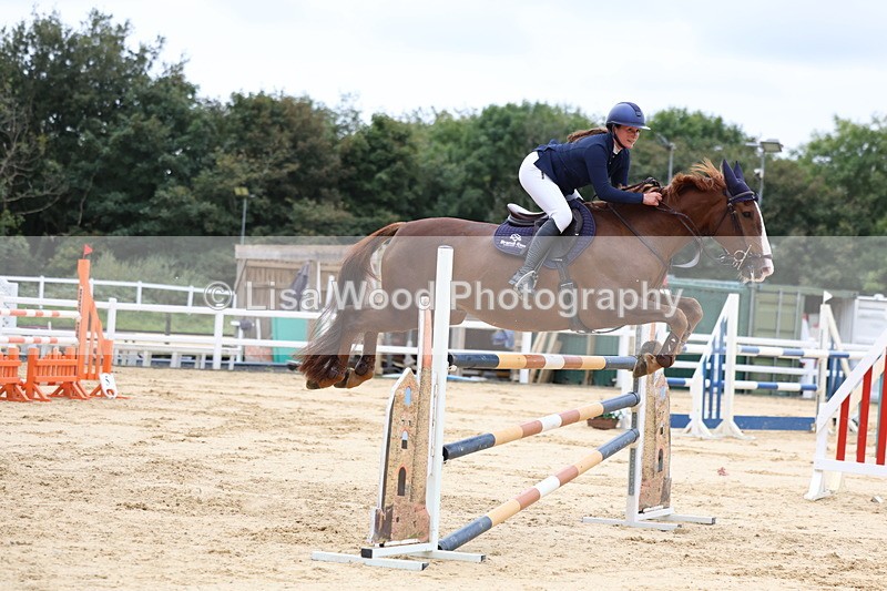 3E7A3361 - Class 9: Senior Foxhunter/1.20 open