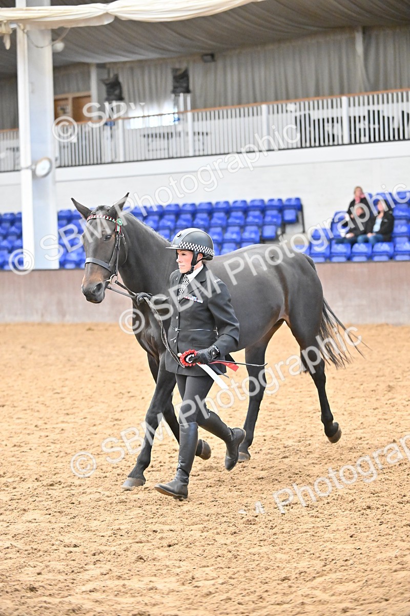 SBM_000765 - Class 16 - In Hand Showing Supreme Championships