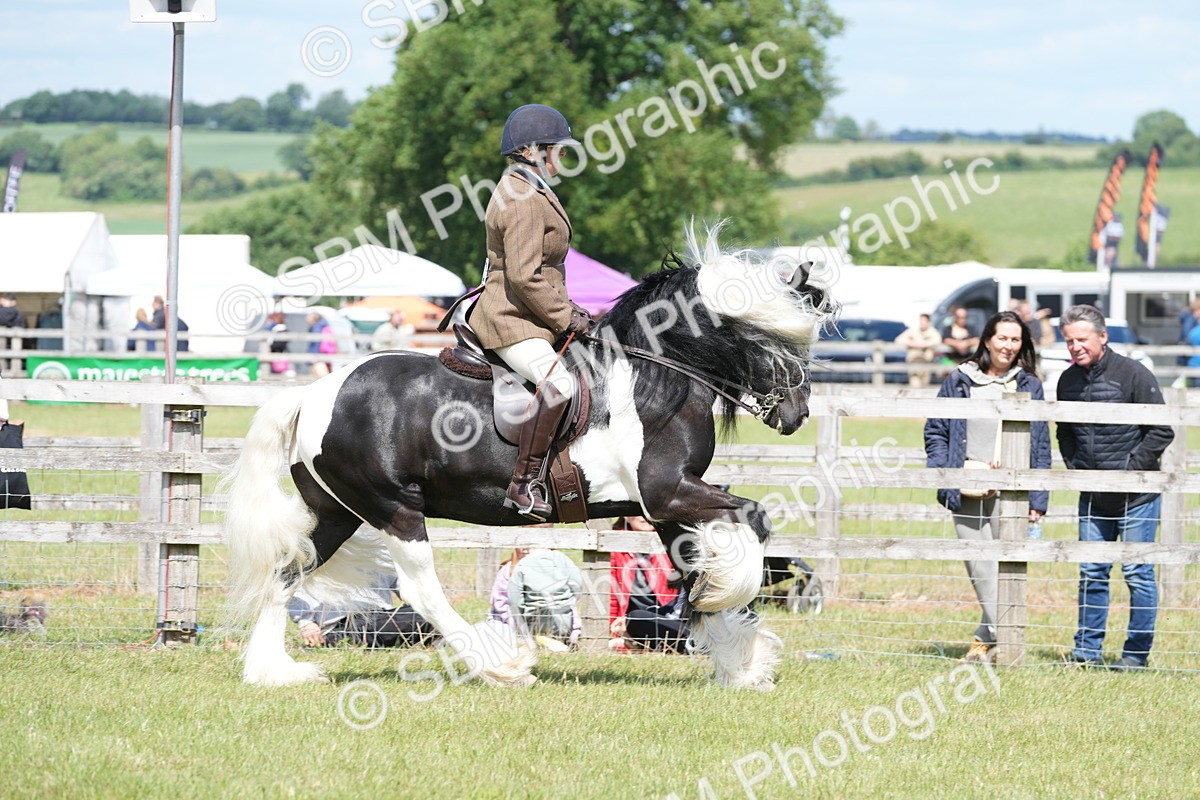SBM_17120 - Class 107-108 - LIHS BSPS Performance Coloured Horse Pony