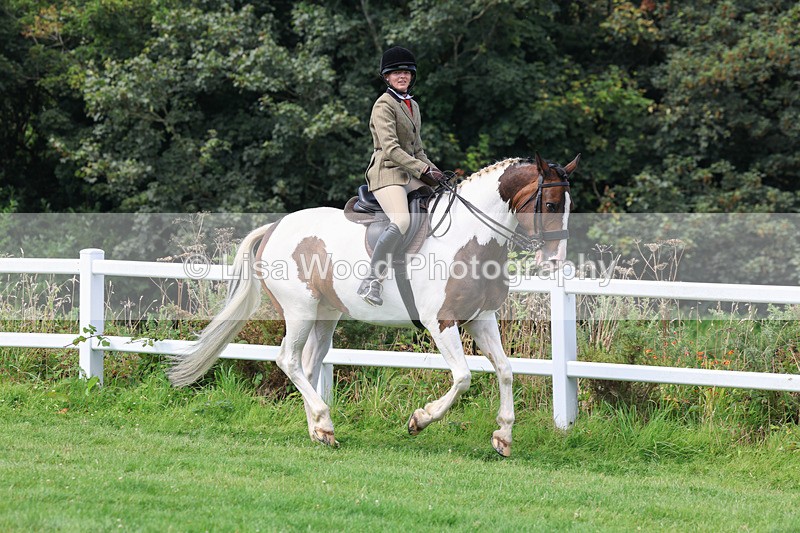 3E7A8660 - Class 5: Working Show Horse