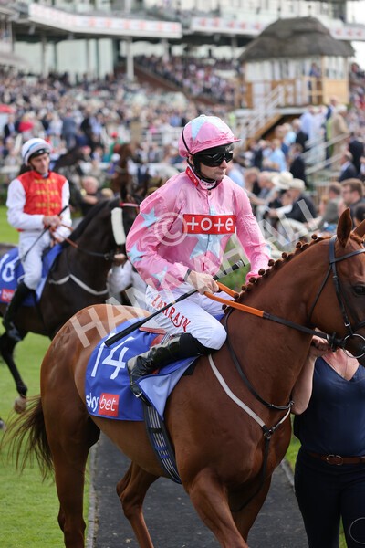 yr18082021r1-37 - Race 1 1.50pm Sky Bet & Symphony Group Stakes