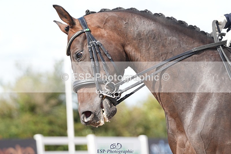 250906-134100-03367 - 113-Nicole.JahanshahiVirtual.Attraction