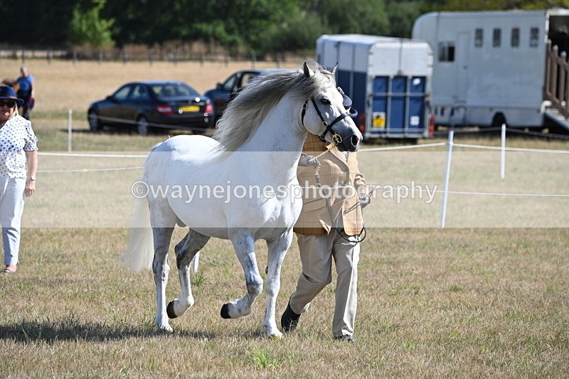 WJ6_4215 - Class 16 Condition & Turn Out