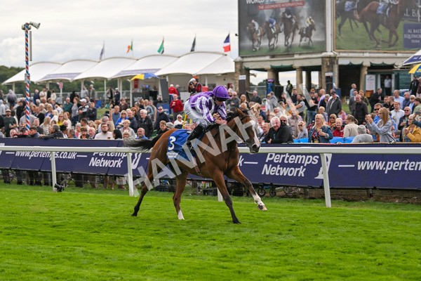 210825-Race 4-Minnie Hauk-4712 - Race 4 3.35pm Pertemps Network Yorkshire Oaks