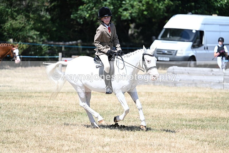 WJ7_3662 - Class 8 Ridden Veterans