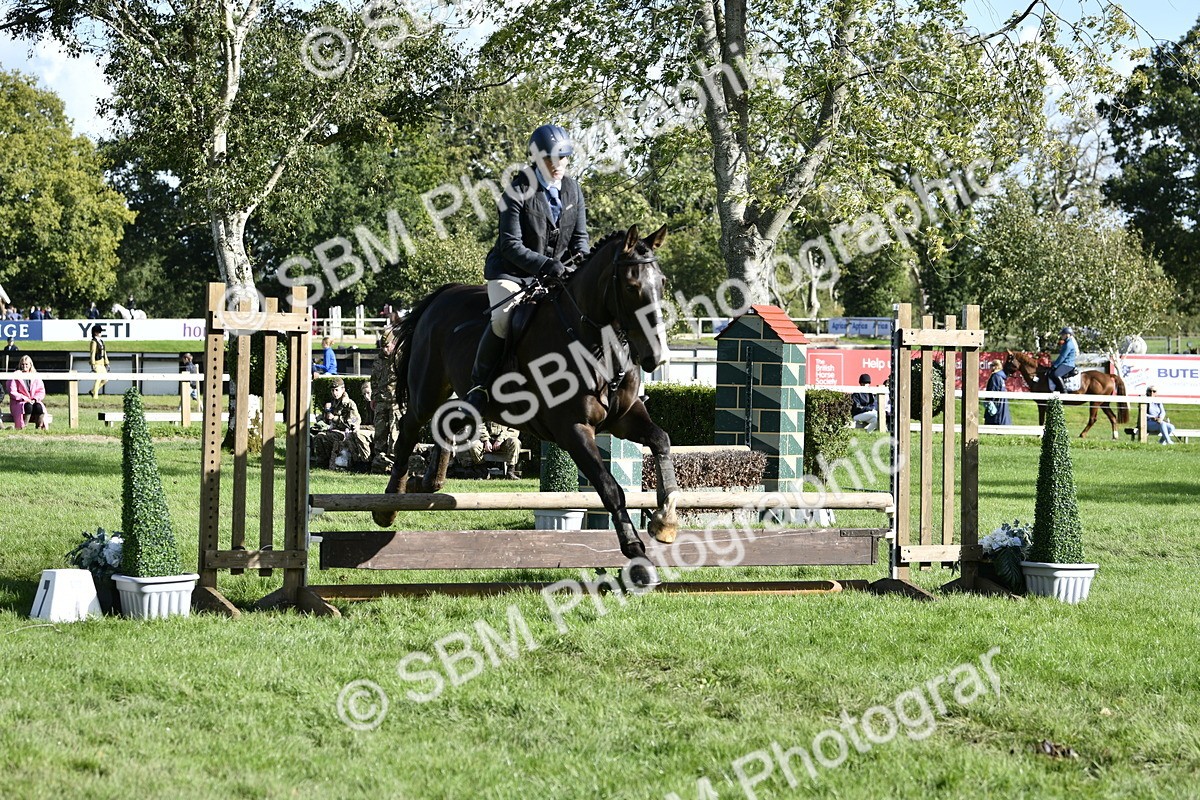 SBM_50041 - S34 - Novice & Newcomers Working Hunter