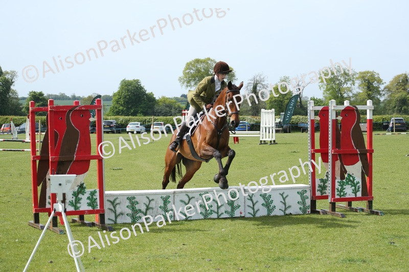 20260426-1804 - Class 14 - Novice 60cm