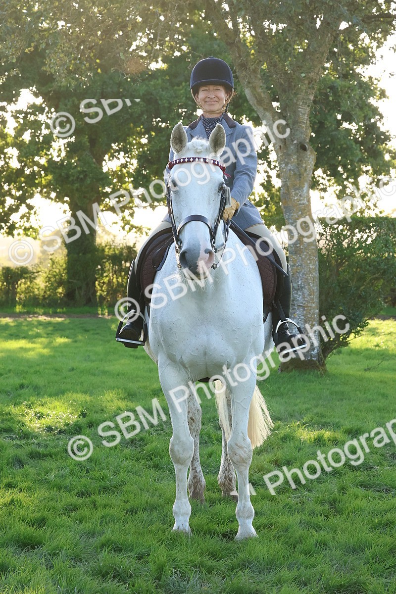 SBM_53064 - S29 - Mature Veteran Ridden