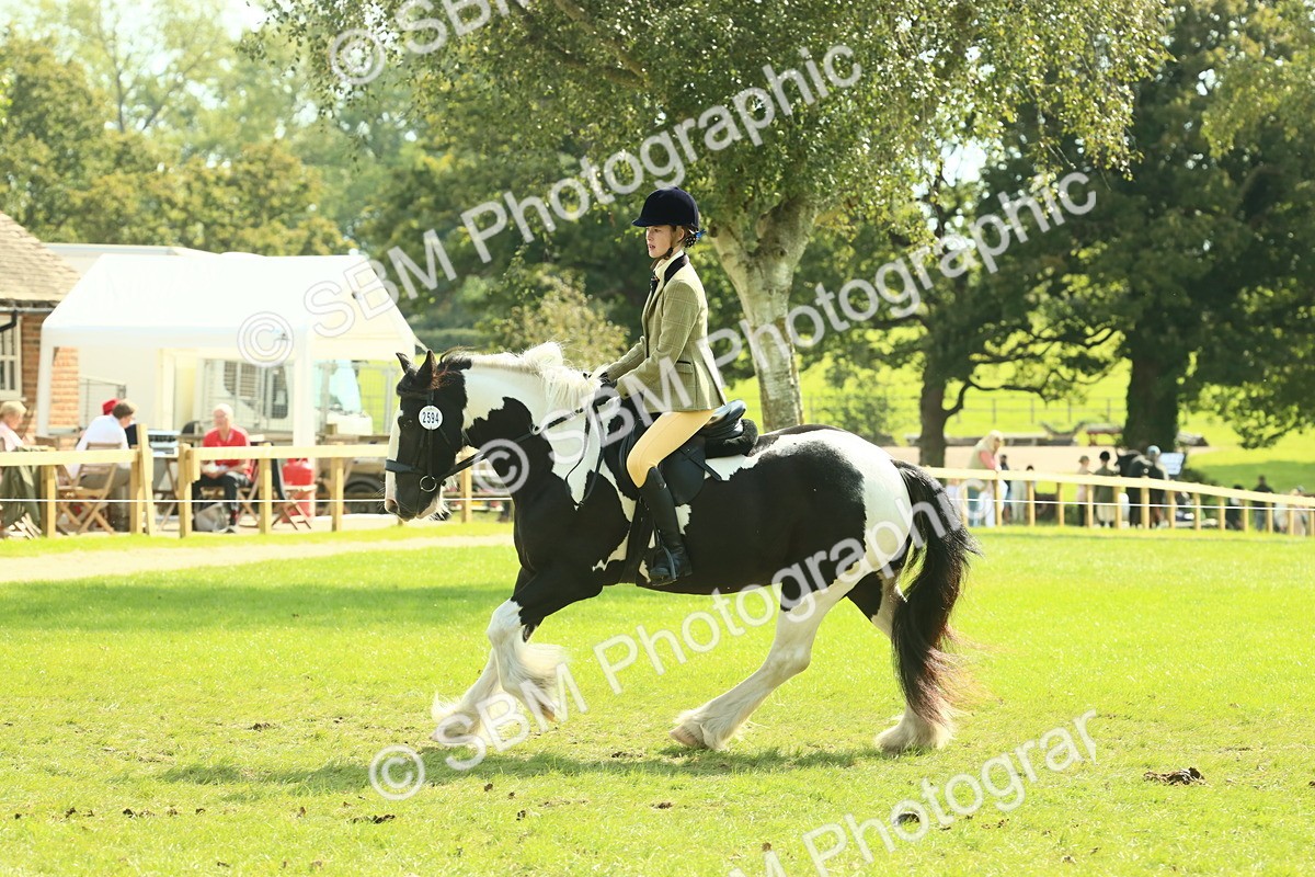 SBM_67598 - S56 - Coloured Pony Ridden