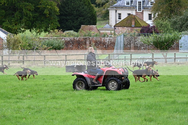 WJ7_4360 - Camera 1 Line 3