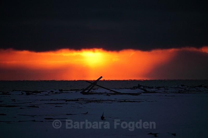 Hiorthamn 3431 - Colours of Svalbard