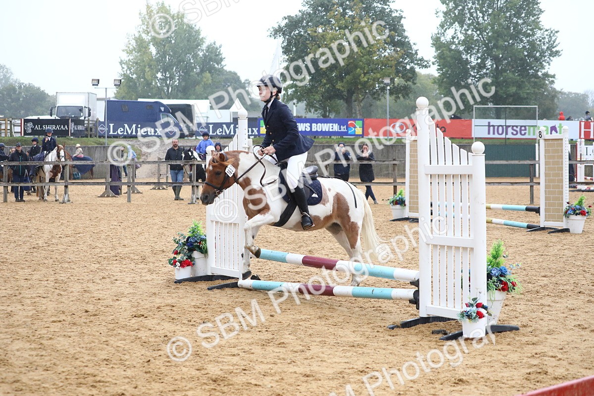 SBM_71772 - J4 - Mini Tour Junior Pony 45cm Championship