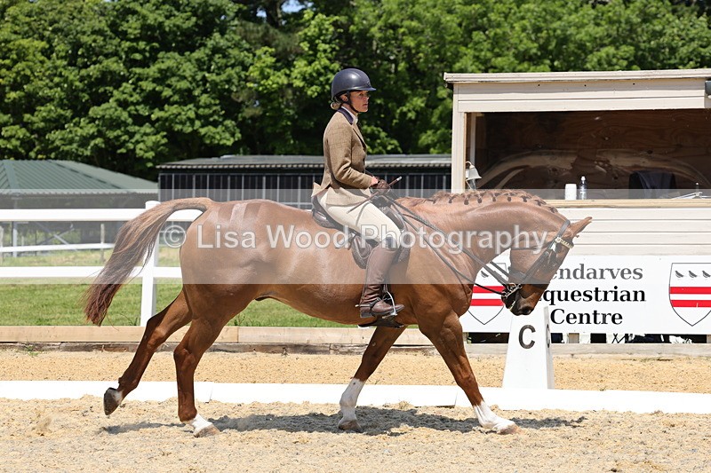 1X9A1850 - Class 12: Ridden Riding Horse/Hack