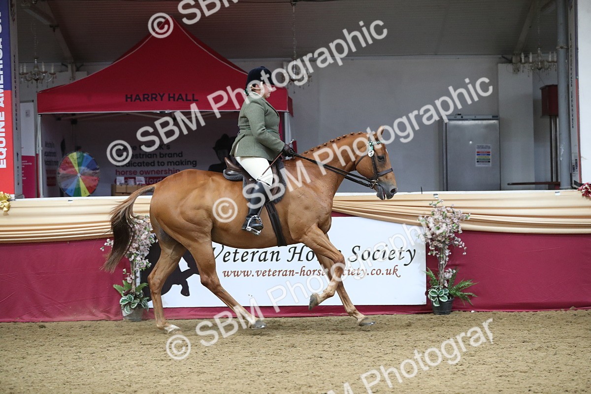 SBM_12328 - Class 108 Ridden Retired Racehorse- Pre Judging