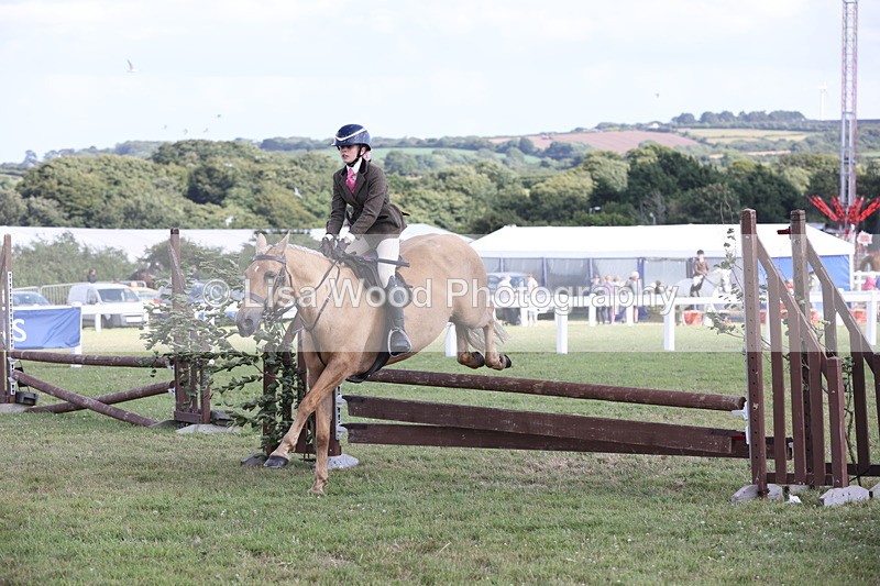 JPP_2712 - Class 20: Working Hunter 70cm