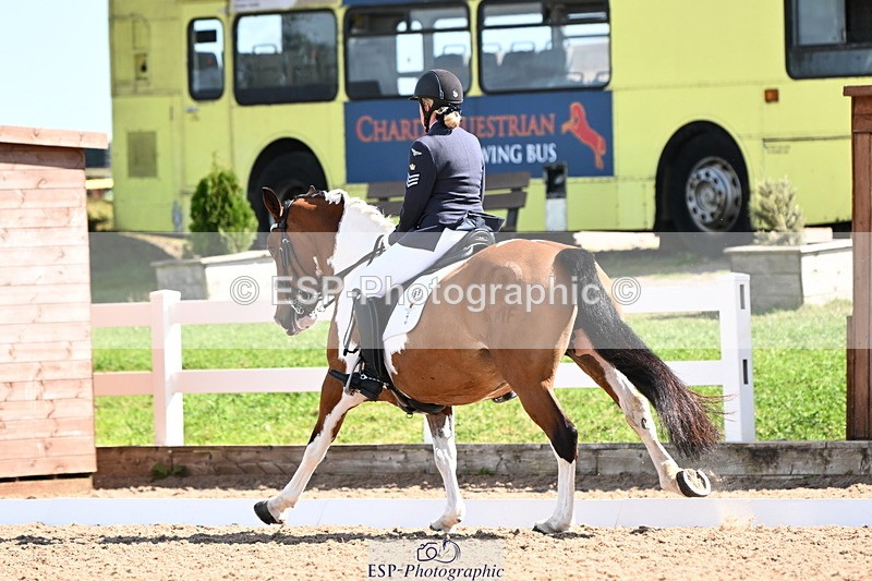 240816A-111111-04022 - 189-Mel.Day-Dolderwydd.lucky.Maisie