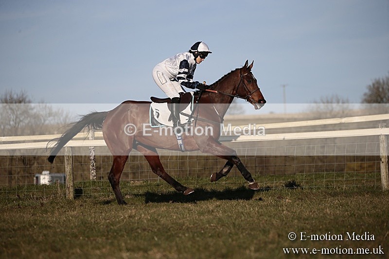 PtP 240218 658 - Vine & Craven Hunt Point-to-Point Barbury racecourse 24/02/18
