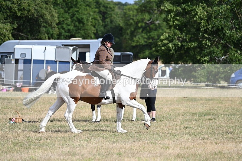 WJ7_7465 - Class 14 Ridden Coloured