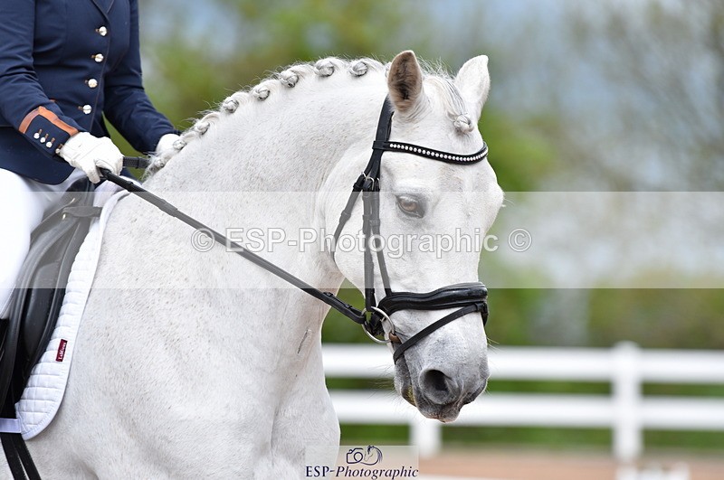 230511A-114112-00469 - BD Cls 7 Elementary 43