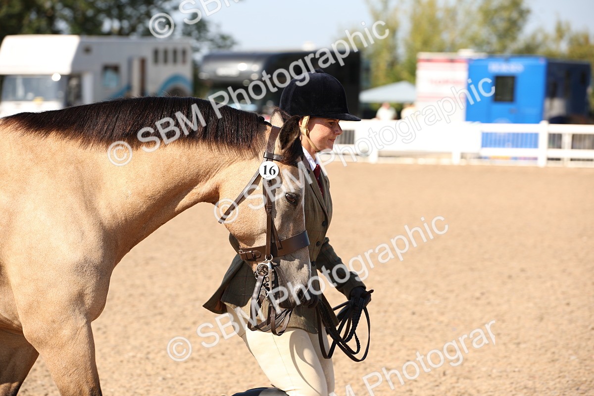 SBM_02731 - Class 16 IH M&M Wildcard