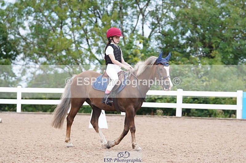 240809A-104424-00640 - Dressage Competition