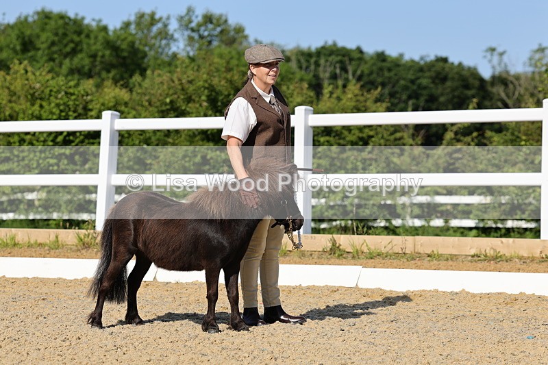 1X9A0661 - Class 3: Youngstock 1, 2, 3 year old not to exceed 153cm