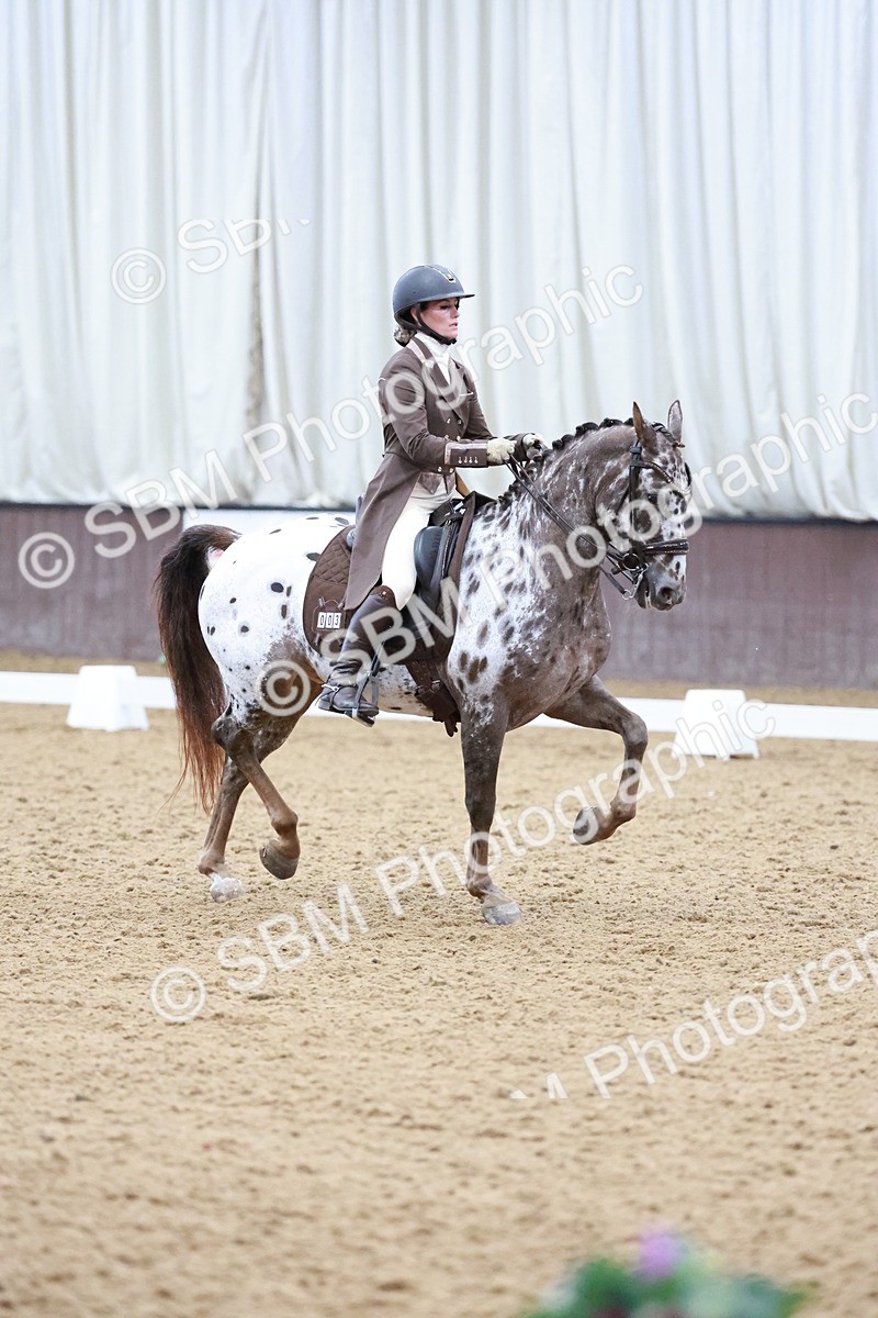 SBM_021408 - Class 14 - FEI Grand Prix - 17.40-18.34