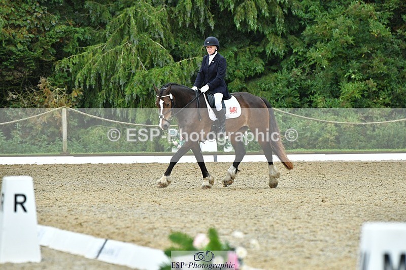 230722-162830-03962 - Cls 5, Elementary Silver 15.10 to End