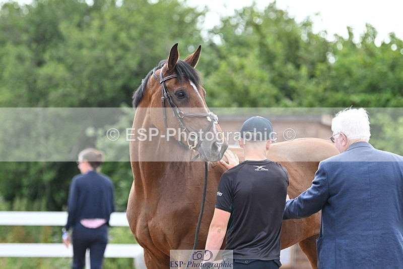 240717A-143556-02137 - Trot Up 2pm to 3pm - This folder is not in time order