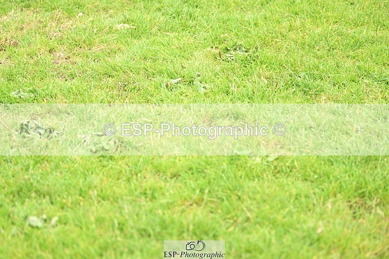 240712-131924-33734 - Cls 135 Area Trial