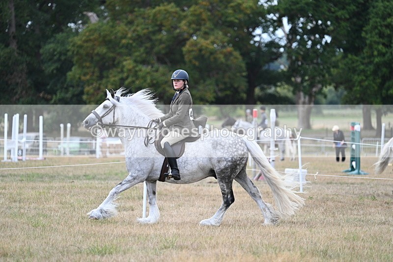 WJ7_5029 - Class 12 Ridden Cob