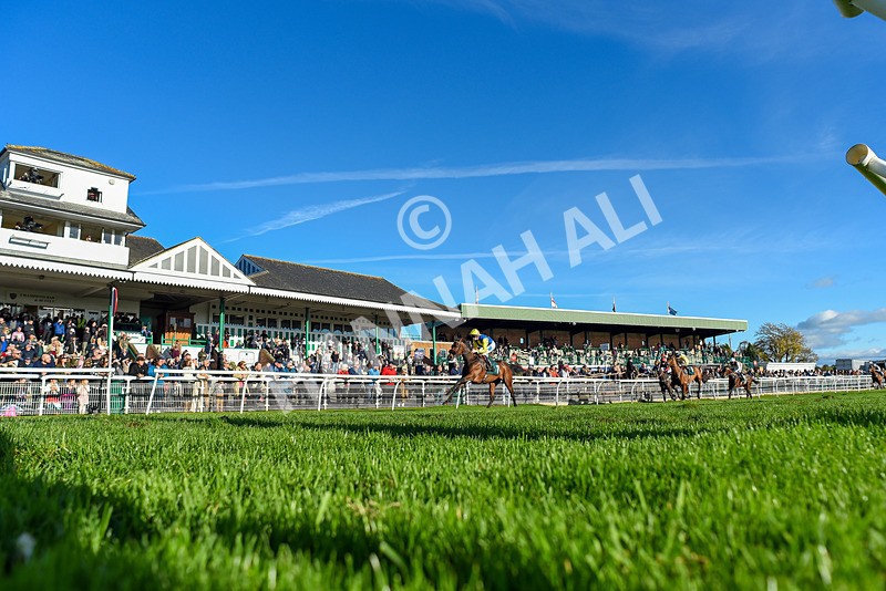 291024-Race 3-Kings Scholar-2395 - Race 3