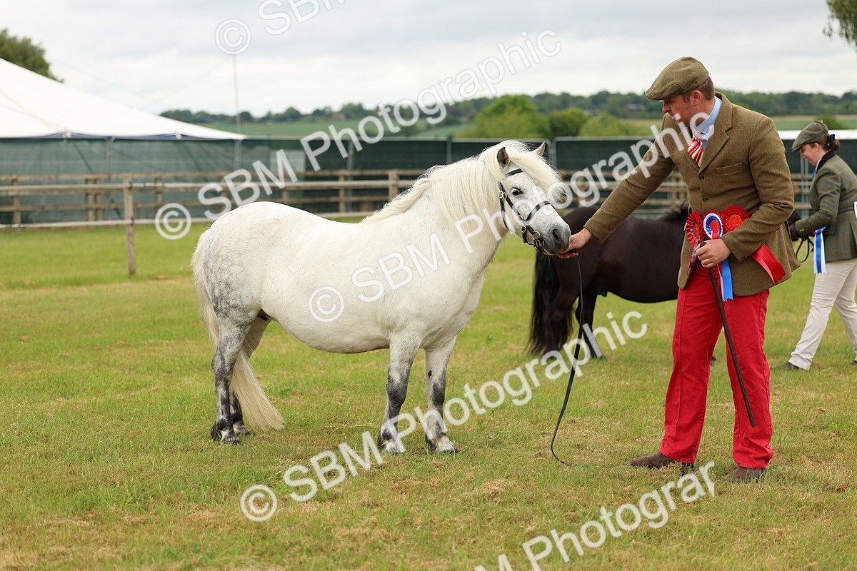 SBM_03526 - Class 58-67 - M&M Non Welsh Pony In hand