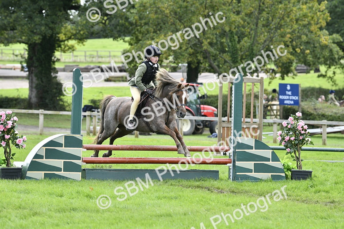 SBM_41261 - S32 - Mountain & Moorland Working Hunter Pony
