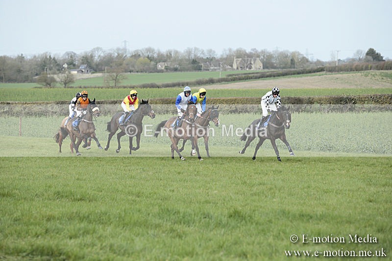 PtP 230319 238 - VWH Hunt Siddington Point-to-Point Racing 23/03/19