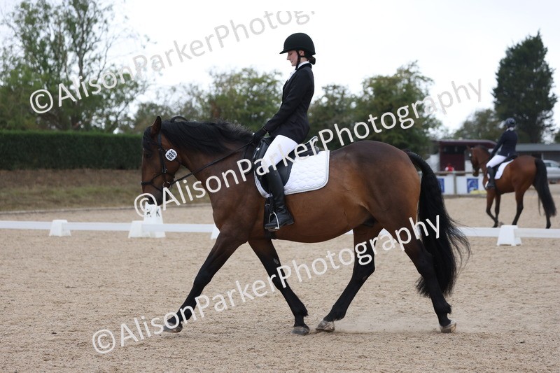 20250820-0343 - Class 11 - My Quest Novice 3