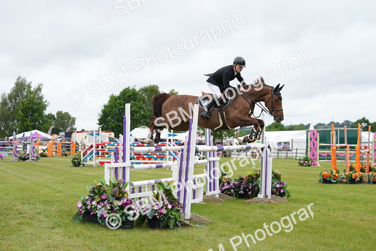 SBM_03435 - Class 201 - British Horse Feeds Speedi Beet Horse of the Year Show Grade  C