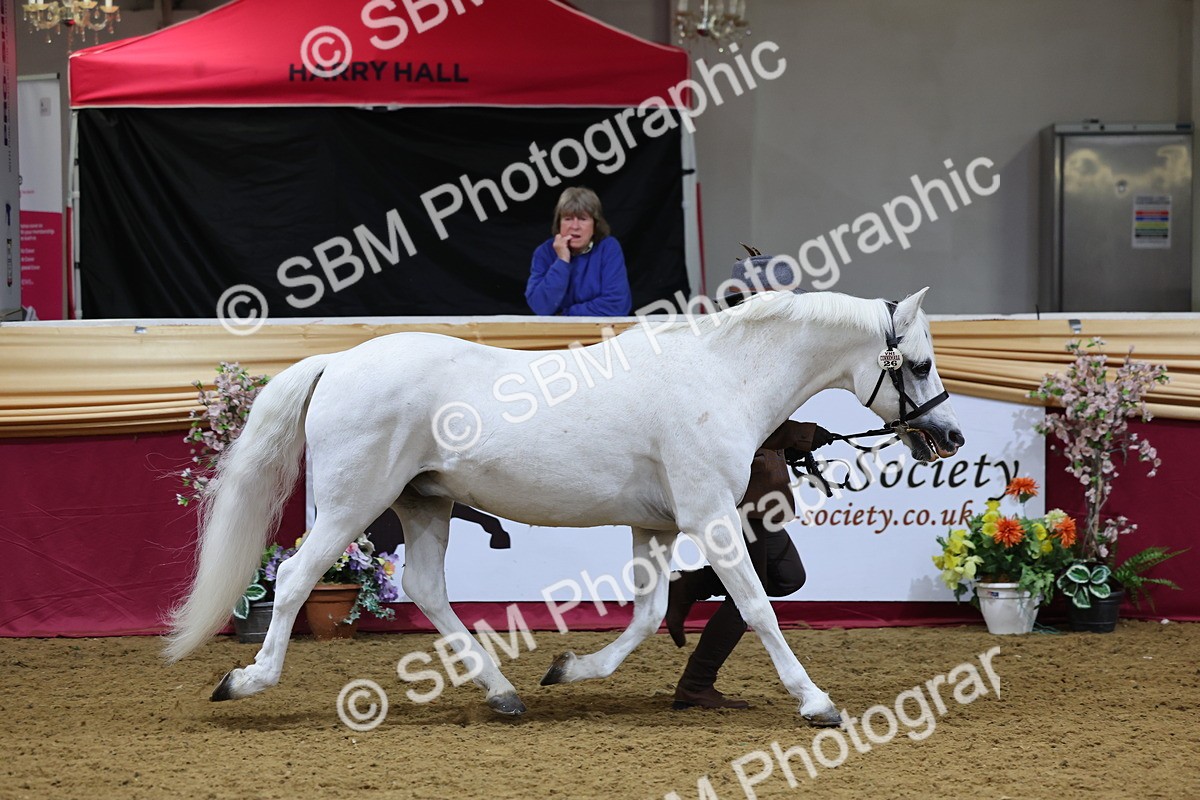 SBM_19426 - Class 901 - Supreme Final - IH Diamond