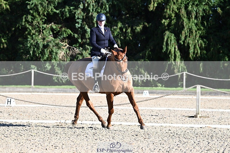 231110-131256-00879 - Cls 4 Novice 39Q