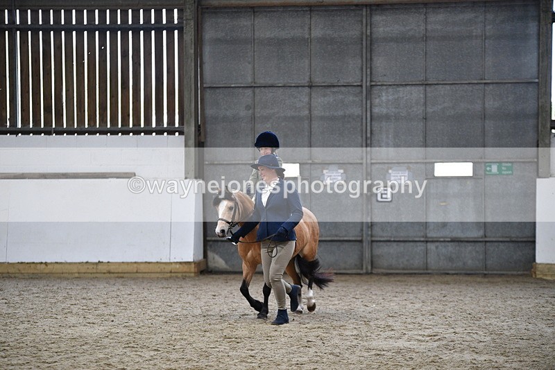 WJ5_6731 - Class 10 Childs Pony