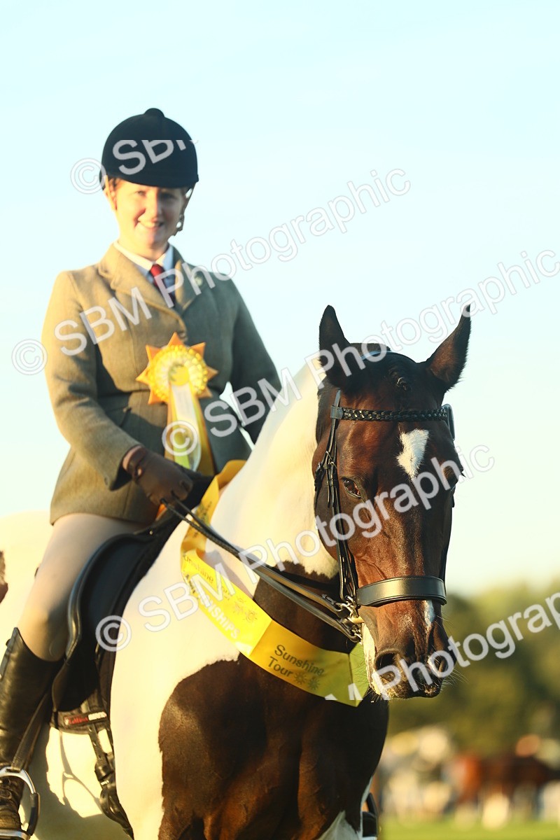 SBM_56533 - S14 - Riding Club Horse